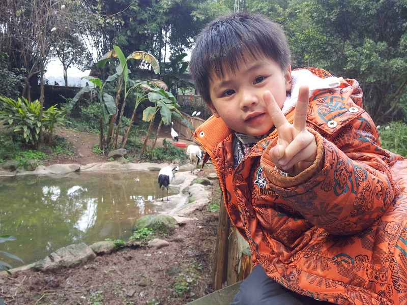 我对你说“”Y“”