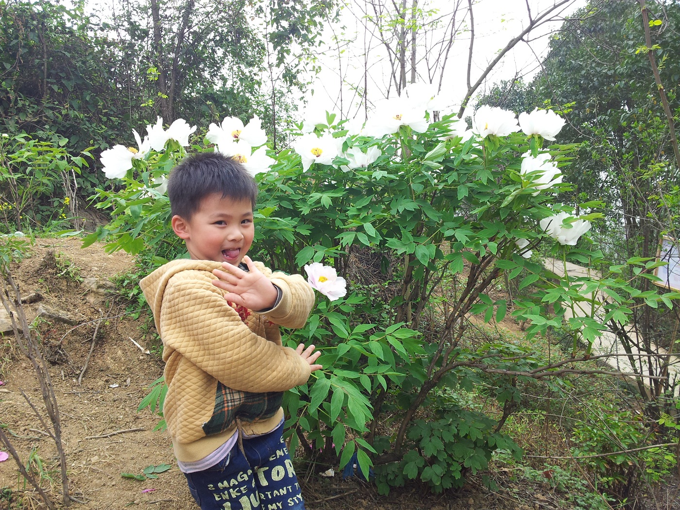我是花中精灵