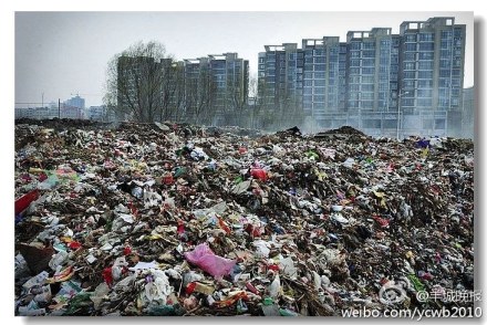 垃圾.jpg