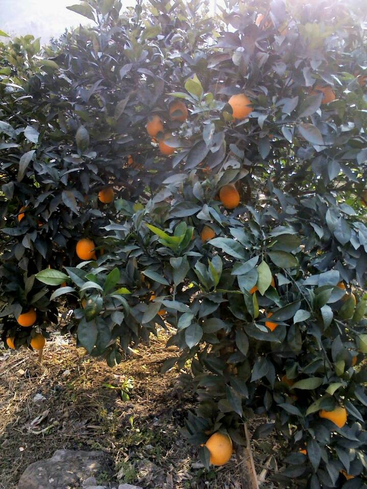 QQ图片20131203172217.jpg