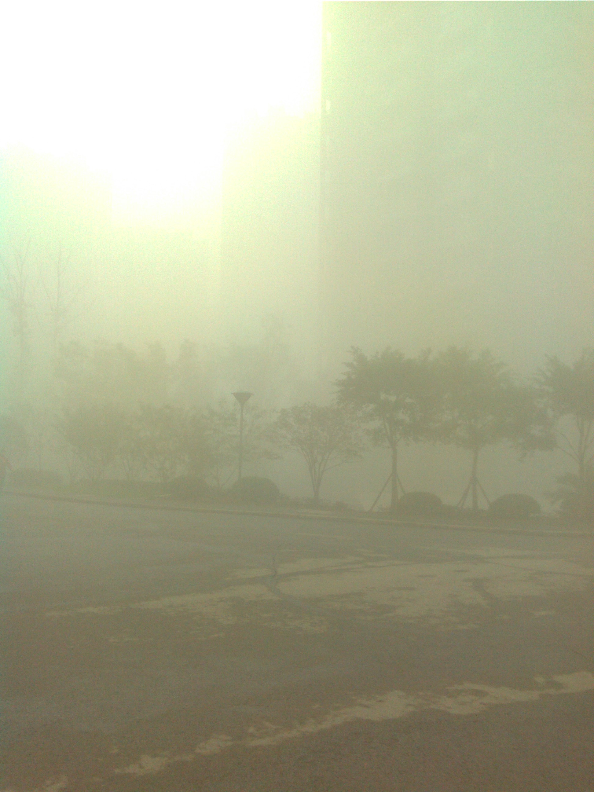 IMG_20131206_081423.jpg