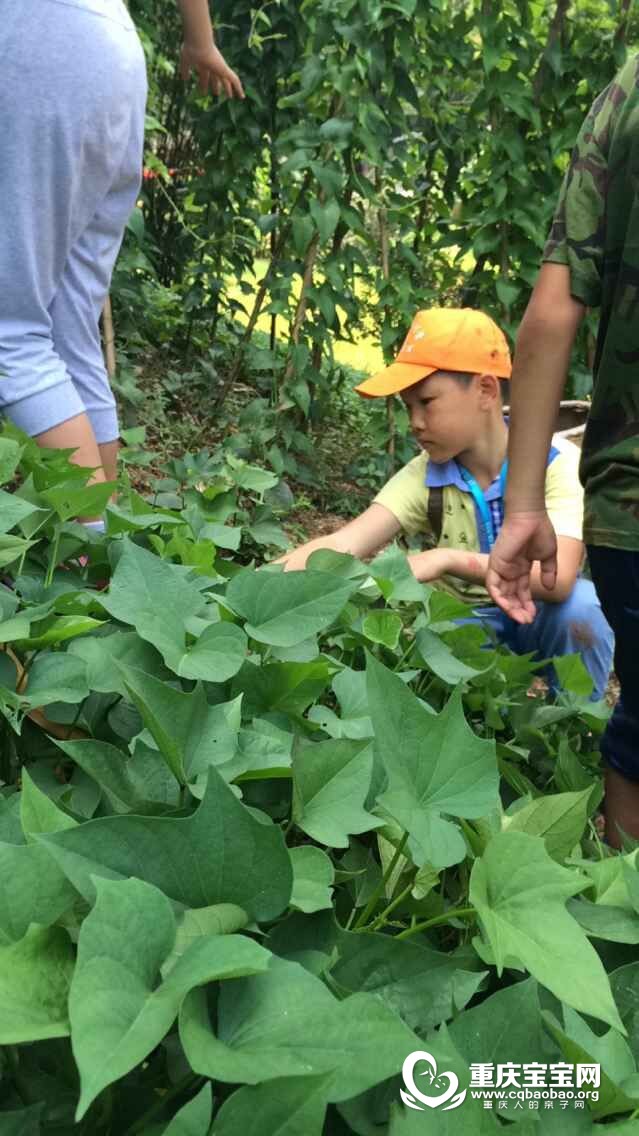 QQ图片20150729130946.jpg