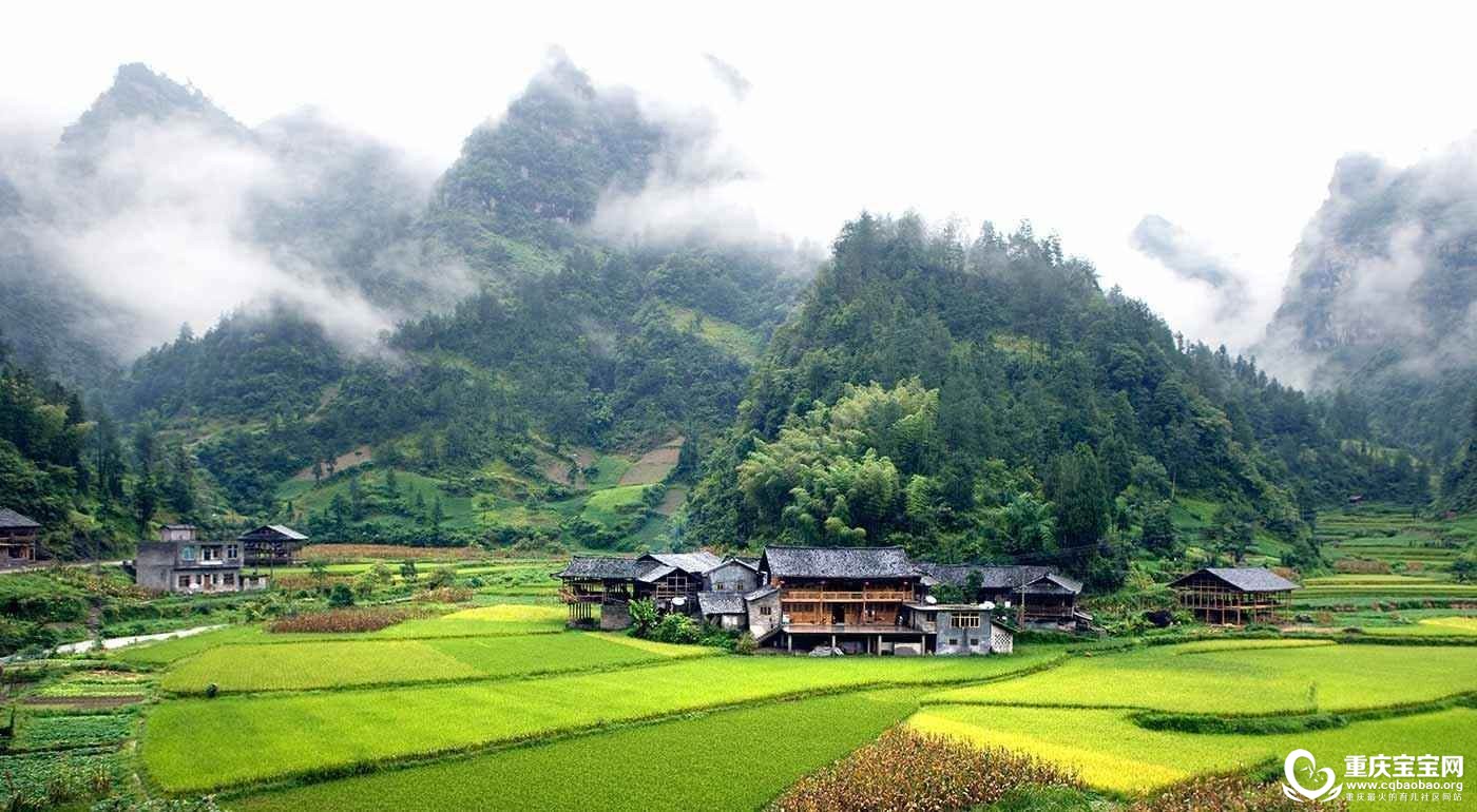 土家寨.jpg