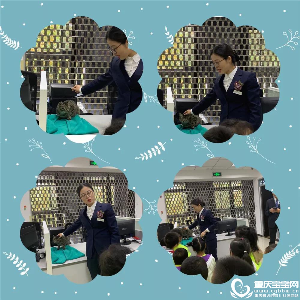 通过1.jpg