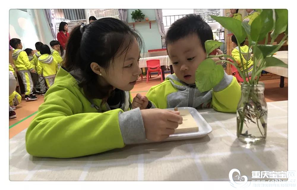 微信图片_20191129155559.jpg