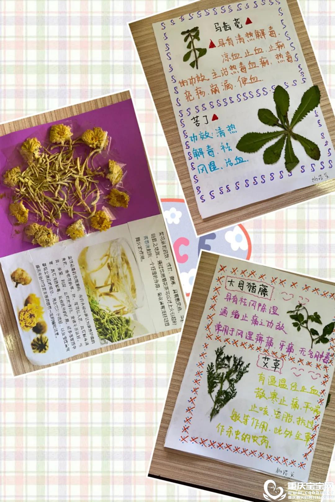 微信图片_20200706173427.jpg