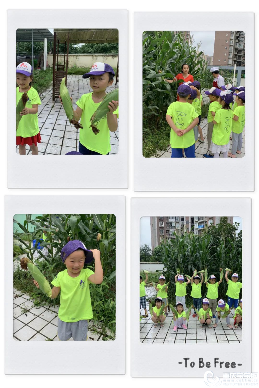 微信图片_20200814153934.jpg