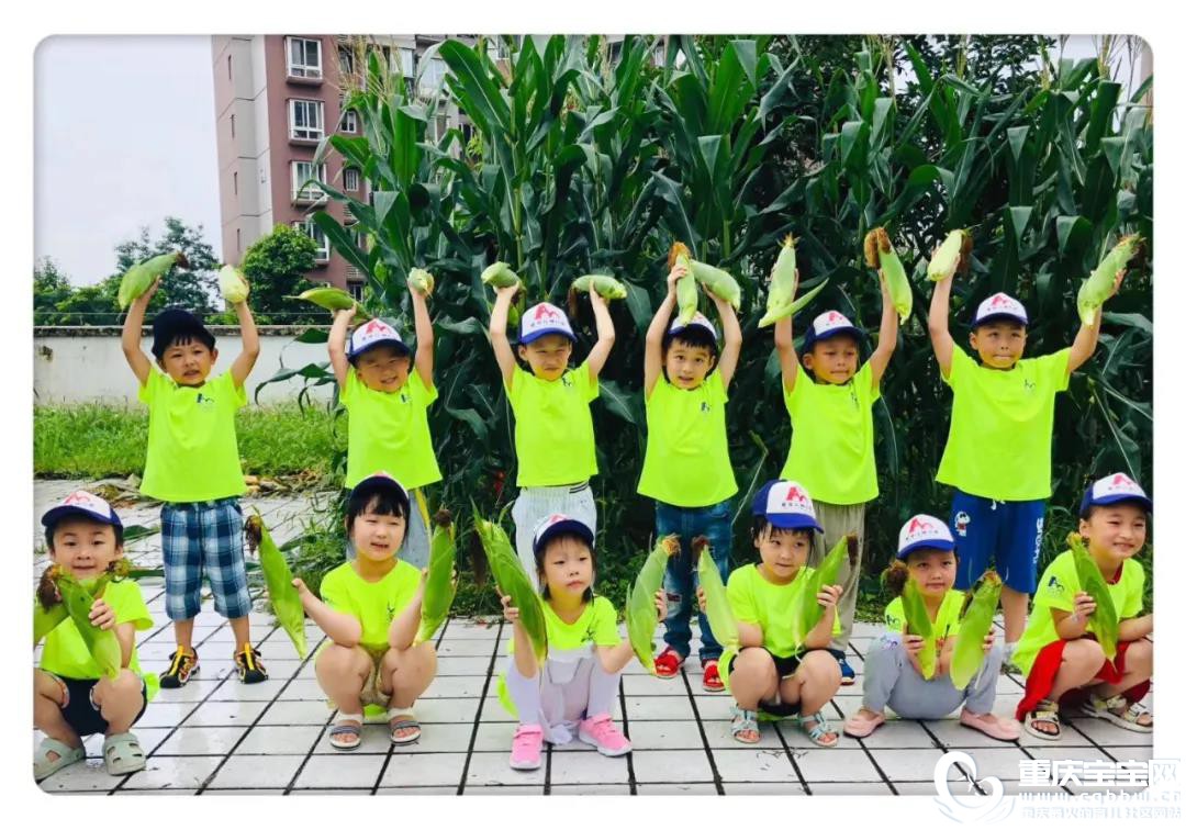 微信图片_20200814153941.jpg