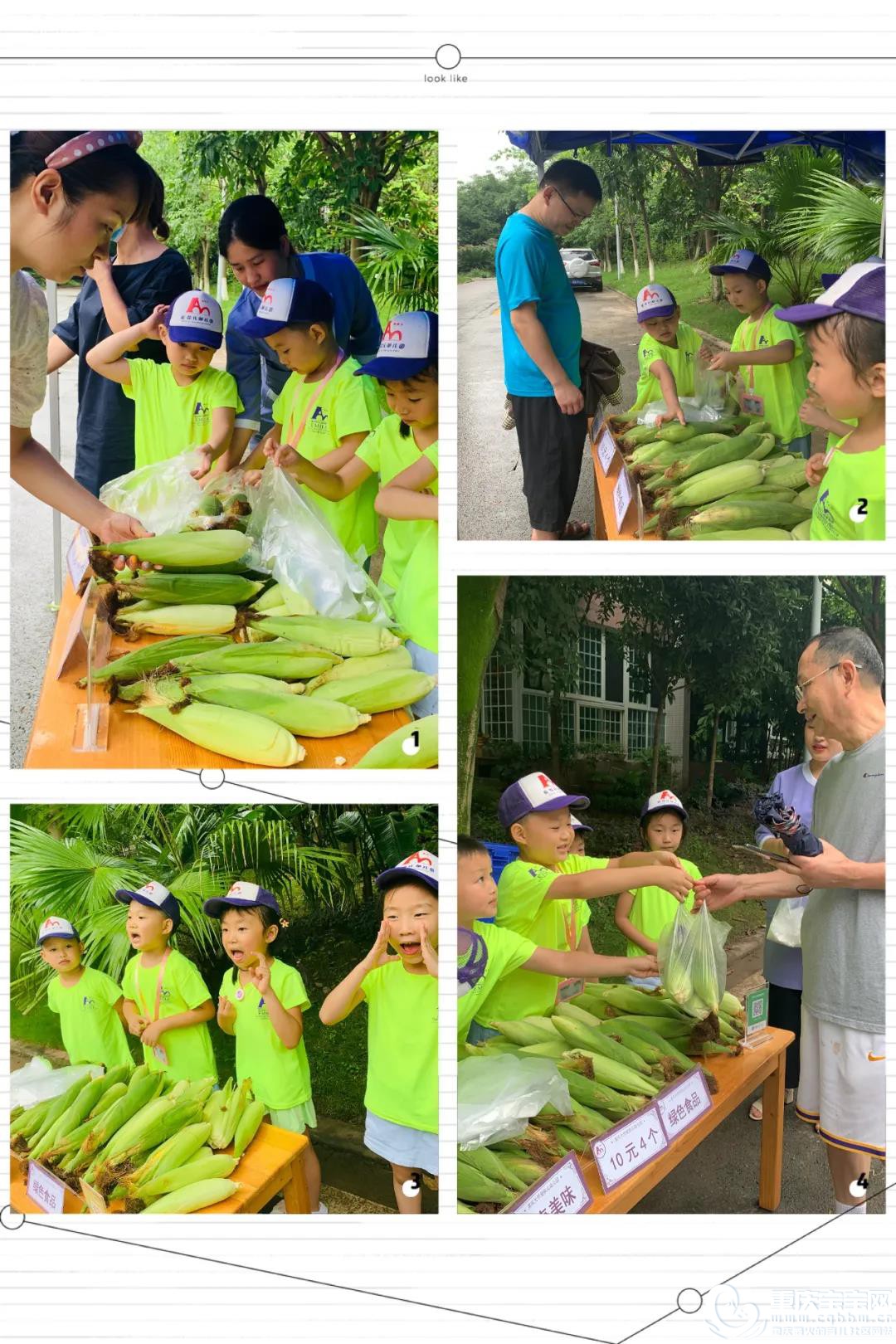 微信图片_20200814153950.jpg
