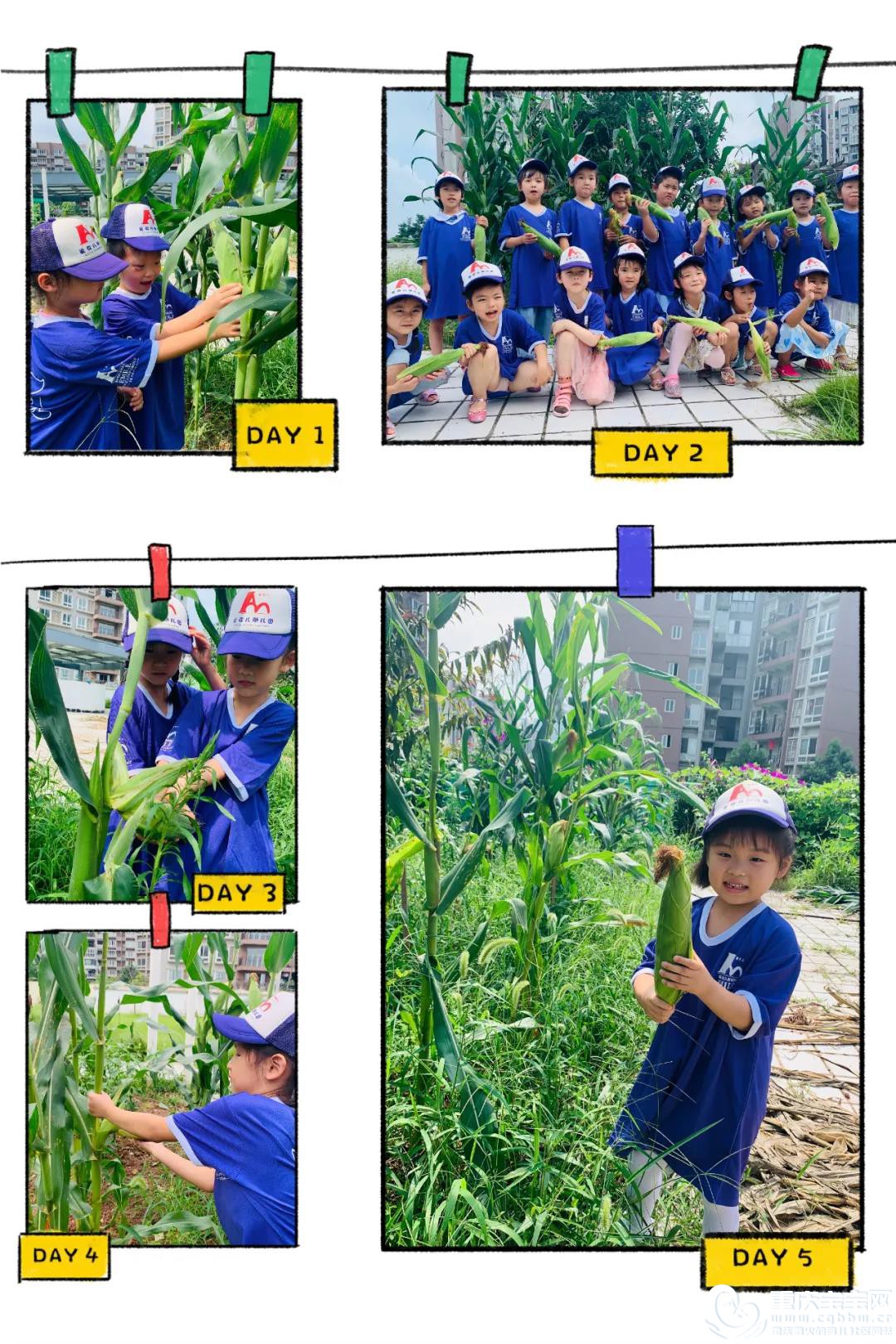 微信图片_20200814153946.jpg