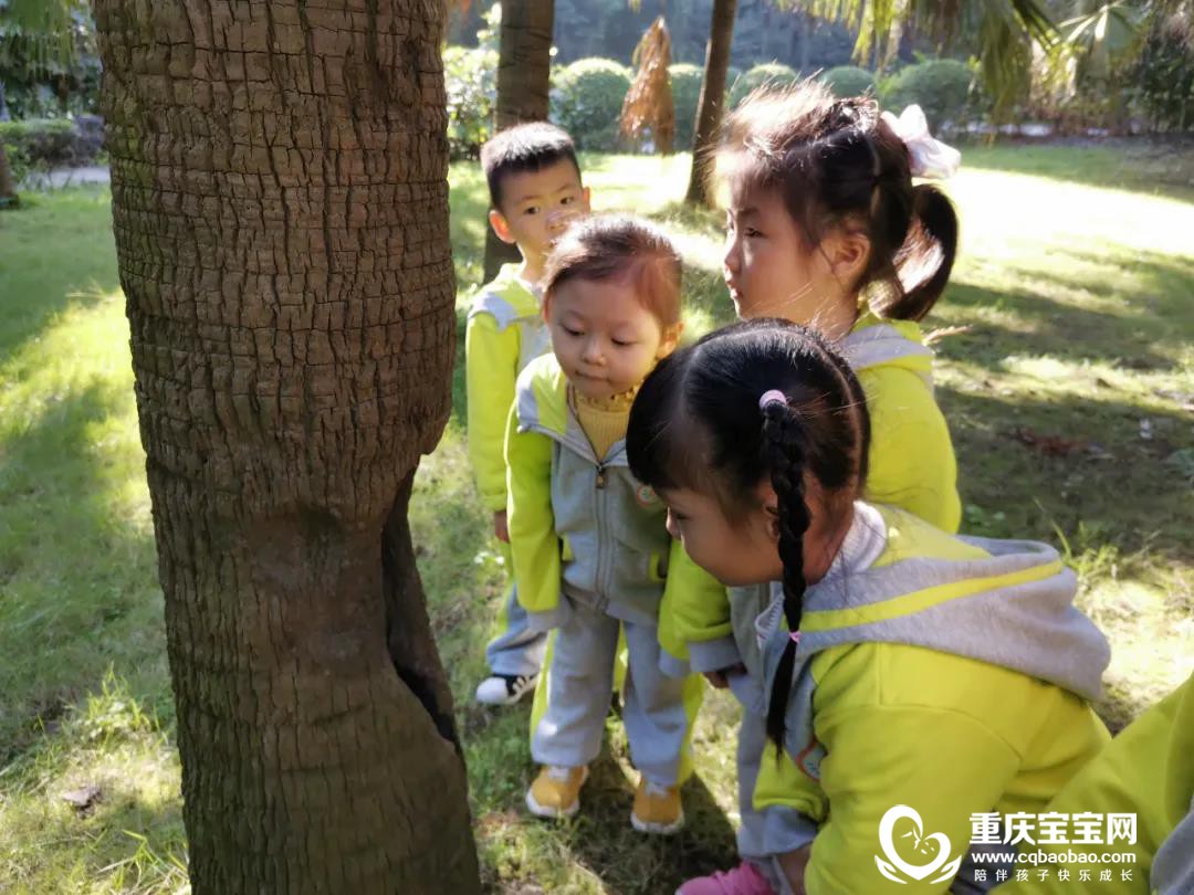 微信图片_20201208114310.jpg