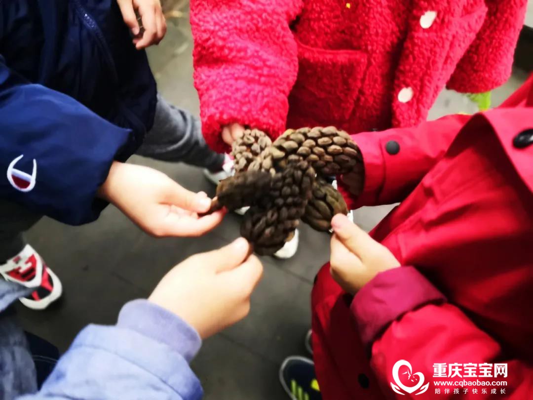 微信图片_20201208161728.jpg