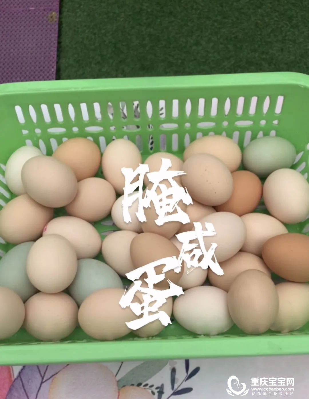 微信图片_20221223205249.jpg