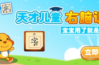 天才儿童右脑识字