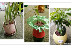 【上朗·小白兔幼儿园】植树节系列活动播种绿色未来 收获成长快乐