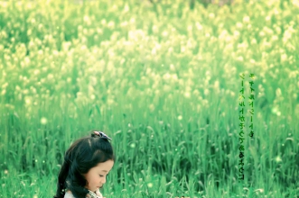 西农的油菜花开了