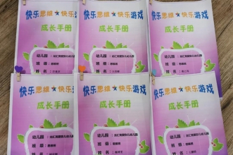 聆听思维碰撞·共享缤纷课堂 | 爱弥儿龙汇苑思维游戏课程公开课展示活动
