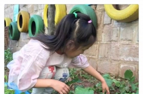 早慧松龙园"蔬菜市场"义卖活动开始啦！