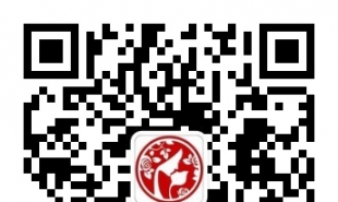 爱丽丝亲子摄影活动预告