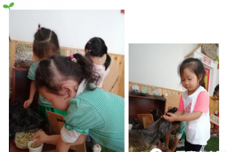 走进自然·回归生活——上朗幼儿园自然教育